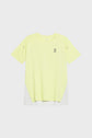 Performance T