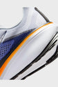Air Zoom Pegasus 42