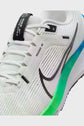 AIR ZOOM PEGASUS 40