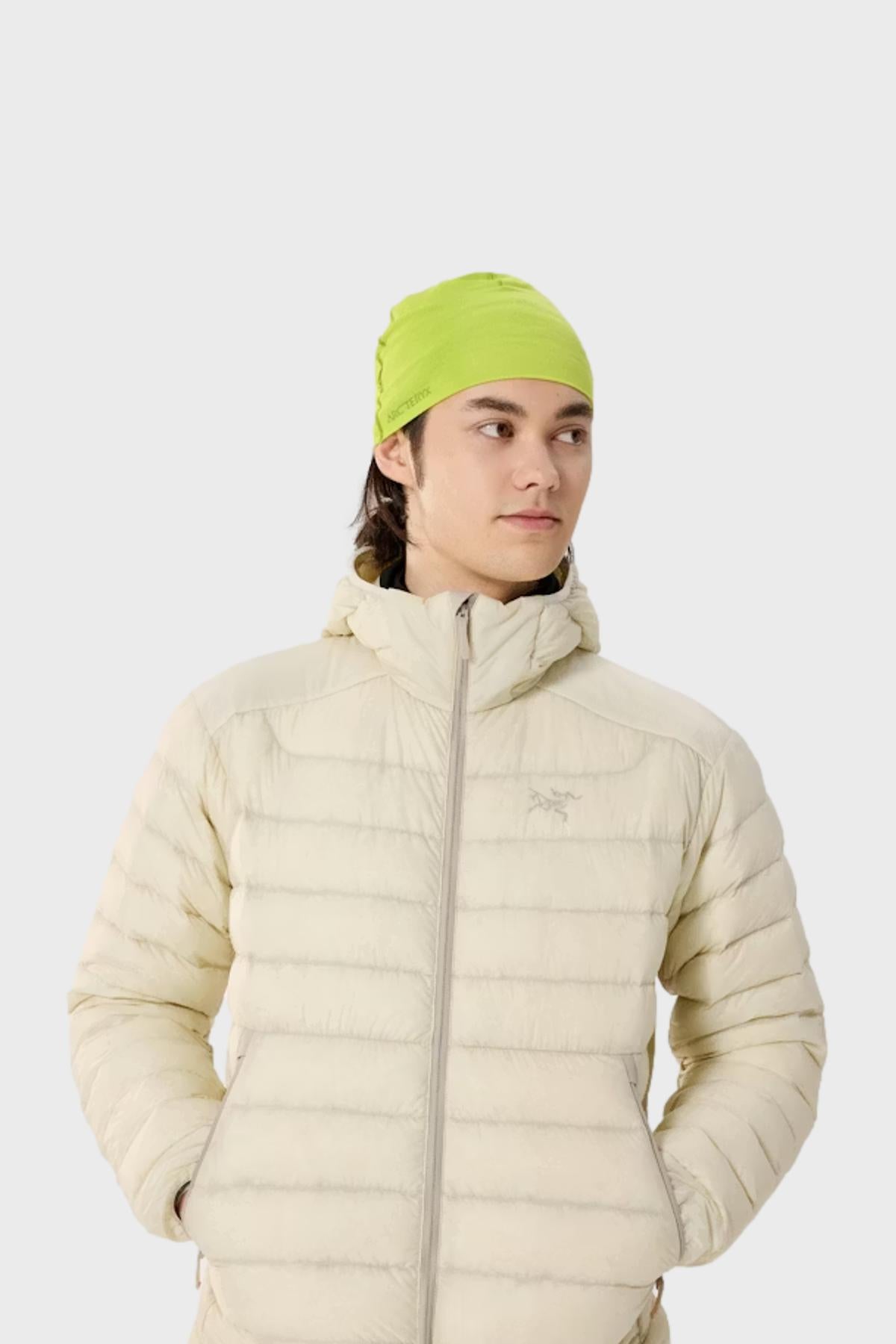 Satoro Merino Toque