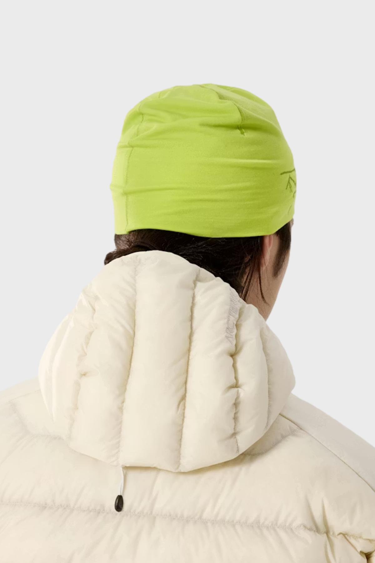 Satoro Merino Toque